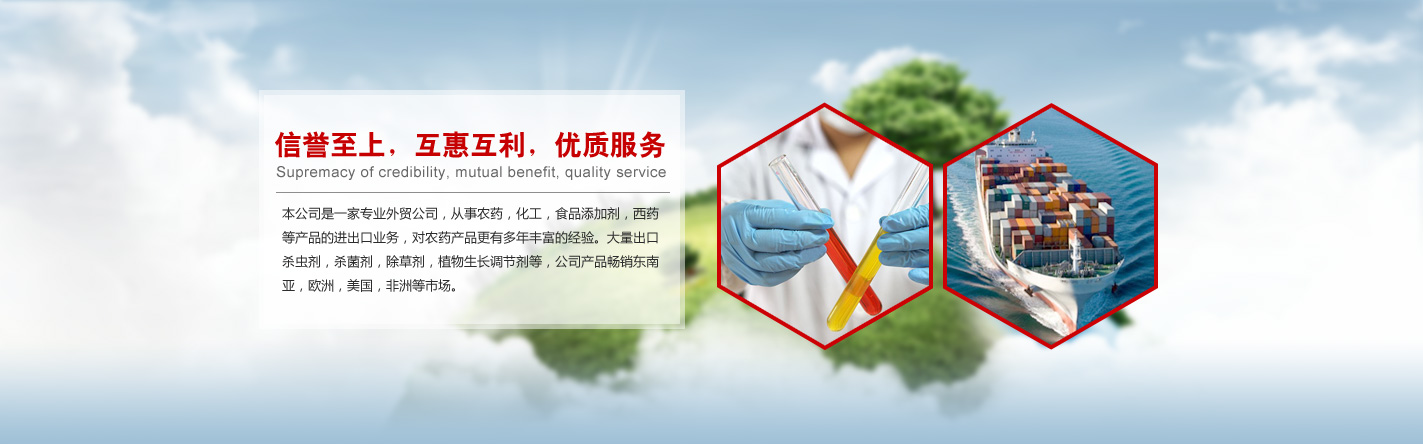 連云港中澤國際貿易有限公司